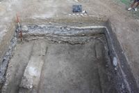 Cronica Cercetărilor Arheologice din România, Campania 2011. Raportul nr. 114