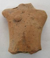 Cronica Cercetărilor Arheologice din România, Campania 2011. Raportul nr. 117