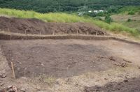 Cronica Cercetărilor Arheologice din România, Campania 2011. Raportul nr. 117
