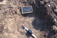 Cronica Cercetărilor Arheologice din România, Campania 2011. Raportul nr. 117