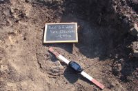 Cronica Cercetărilor Arheologice din România, Campania 2011. Raportul nr. 117