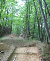 Cronica Cercetărilor Arheologice din România, Campania 2011. Raportul nr. 120