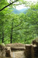 Cronica Cercetărilor Arheologice din România, Campania 2011. Raportul nr. 120