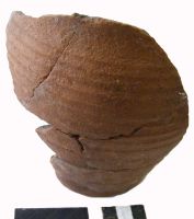 Cronica Cercetărilor Arheologice din România, Campania 2011. Raportul nr. 120
