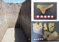 Cronica Cercetărilor Arheologice din România, Campania 2011. Raportul nr. 123