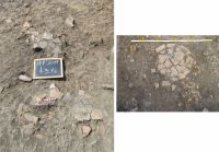 Cronica Cercetărilor Arheologice din România, Campania 2011. Raportul nr. 123