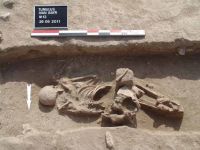 Cronica Cercetărilor Arheologice din România, Campania 2011. Raportul nr. 125