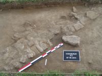 Cronica Cercetărilor Arheologice din România, Campania 2011. Raportul nr. 125