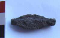 Cronica Cercetărilor Arheologice din România, Campania 2011. Raportul nr. 125