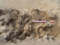 Cronica Cercetărilor Arheologice din România, Campania 2011. Raportul nr. 125