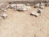 Cronica Cercetărilor Arheologice din România, Campania 2011. Raportul nr. 125
