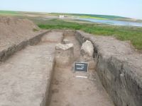 Cronica Cercetărilor Arheologice din România, Campania 2011. Raportul nr. 125
