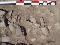 Cronica Cercetărilor Arheologice din România, Campania 2011. Raportul nr. 125