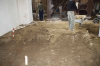Cronica Cercetărilor Arheologice din România, Campania 2011. Raportul nr. 131
