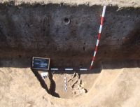Cronica Cercetărilor Arheologice din România, Campania 2011. Raportul nr. 132