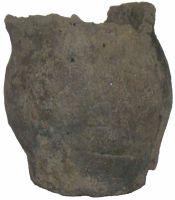 Cronica Cercetărilor Arheologice din România, Campania 2011. Raportul nr. 132
