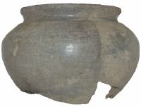 Cronica Cercetărilor Arheologice din România, Campania 2011. Raportul nr. 132