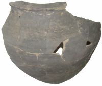 Cronica Cercetărilor Arheologice din România, Campania 2011. Raportul nr. 132