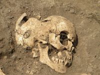Cronica Cercetărilor Arheologice din România, Campania 2011. Raportul nr. 134