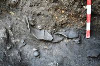 Cronica Cercetărilor Arheologice din România, Campania 2011. Raportul nr. 138