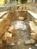 Cronica Cercetărilor Arheologice din România, Campania 2011. Raportul nr. 146