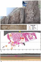 Cronica Cercetărilor Arheologice din România, Campania 2011. Raportul nr. 151