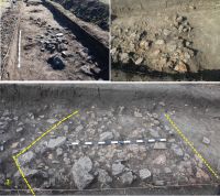 Cronica Cercetărilor Arheologice din România, Campania 2011. Raportul nr. 152