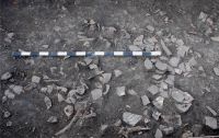 Cronica Cercetărilor Arheologice din România, Campania 2011. Raportul nr. 152