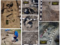 Cronica Cercetărilor Arheologice din România, Campania 2011. Raportul nr. 152