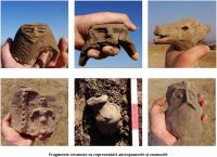 Cronica Cercetărilor Arheologice din România, Campania 2011. Raportul nr. 171