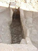 Cronica Cercetărilor Arheologice din România, Campania 2011. Raportul nr. 176