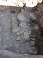 Cronica Cercetărilor Arheologice din România, Campania 2011. Raportul nr. 176
