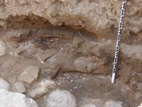 Cronica Cercetărilor Arheologice din România, Campania 2011. Raportul nr. 176