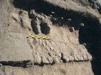 Cronica Cercetărilor Arheologice din România, Campania 2012. Raportul nr. 2