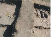 Cronica Cercetărilor Arheologice din România, Campania 2012. Raportul nr. 2