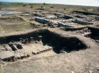 Cronica Cercetărilor Arheologice din România, Campania 2012. Raportul nr. 2