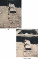 Cronica Cercetărilor Arheologice din România, Campania 2012. Raportul nr. 2