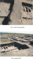 Cronica Cercetărilor Arheologice din România, Campania 2012. Raportul nr. 2
