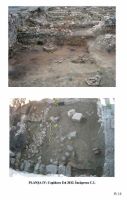 Cronica Cercetărilor Arheologice din România, Campania 2012. Raportul nr. 8