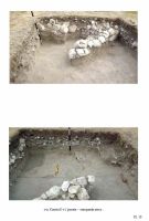 Cronica Cercetărilor Arheologice din România, Campania 2012. Raportul nr. 8