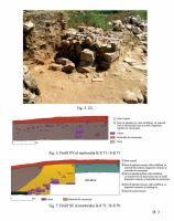 Cronica Cercetărilor Arheologice din România, Campania 2012. Raportul nr. 8