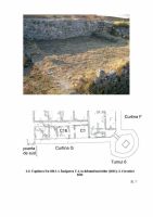 Cronica Cercetărilor Arheologice din România, Campania 2012. Raportul nr. 8