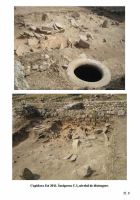 Cronica Cercetărilor Arheologice din România, Campania 2012. Raportul nr. 8