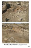 Cronica Cercetărilor Arheologice din România, Campania 2012. Raportul nr. 8