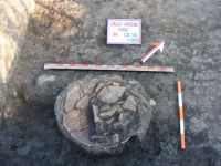Cronica Cercetărilor Arheologice din România, Campania 2012. Raportul nr. 10