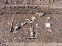 Cronica Cercetărilor Arheologice din România, Campania 2012. Raportul nr. 10