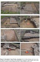 Cronica Cercetărilor Arheologice din România, Campania 2012. Raportul nr. 22