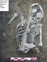 Cronica Cercetărilor Arheologice din România, Campania 2012. Raportul nr. 24.<br /> Sectorul morminte.