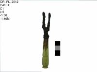 Cronica Cercetărilor Arheologice din România, Campania 2012. Raportul nr. 24.<br /> Sectorul varia.