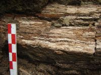 Cronica Cercetărilor Arheologice din România, Campania 2012. Raportul nr. 24.<br /> Sectorul varia.